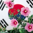 이영미술관 이미지