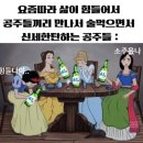 행복여행 이미지