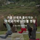 마음의 안정을 위한 싱잉볼 명상 | 경산 카페 안팎에서 가을을 만끽하며 흘러간 야외 요가, 싱잉볼 명상 클래스 이야기 !