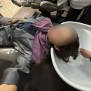디탐헤어 - 서초구 | 건대 미용실 후기) 머릿결 관리하러 다녀온 디탐헤어 건대점 밀본클리닉 솔직후기