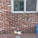 지리산미네 이미지