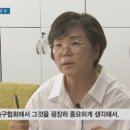 지역방송별 희비가 엇갈린 축구종합센터 유치 결과 보도.jpg 이미지