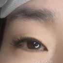 삼척속눈썹온리래쉬 네이버블로그