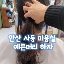 ㈜사동현대써비스 | 안산 사동 미용실 예쁜머리 하자