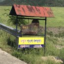 목사골축산 - 나주시 삼영1길 61 | [곡성] 전남캠핑장추천 "목사골야영장" 여기 가봤어? 솔직후기:)