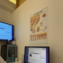 우정마샹스 오피스텔 | 신촌지루성두피염 관리 모앤영 신촌점 30대남자 두피케어 후기