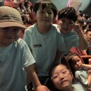 경희대 액티브 태권도 이미지