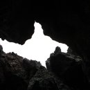 종달리수국길 이미지