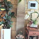 스트레스 타파 마음건강 찾기 | 만성피로 타파! 찐으로 회복되는 힐링 공간, 일산마사지 명소 탐방기요!