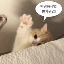 정다운네일 | ⁠[시흥/은계] 탑네일에서 여름 맞이 내돈내산 네일아트 성공 후기!⁠