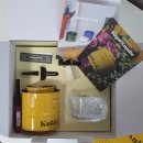 꽃향 | 겨울 꾸미기 꽂아쓰는 슈가캔들 [꾸까센트 꽃시장향] 실 사용 후기!