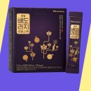 광동