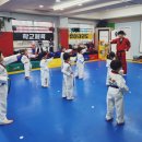 팰리스 태권도장 이미지