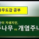 (주)나무 이미지