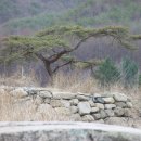 명전보건진료소 이미지