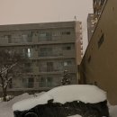 횻토코 이미지