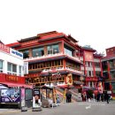 도담도담채 이미지