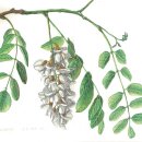 여주산림박물관 이미지