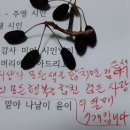 주영시인오름1 이미지