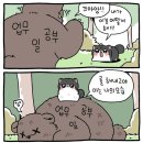 정보없음 이미지