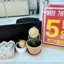 다올쇼핑 이미지