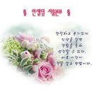 인셀덤 선릉대리점 이미지