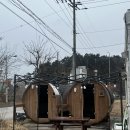 제부도펜션 벚꽃 이미지