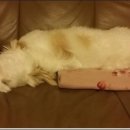 동광주약국 이미지