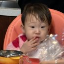 호도귤정원 이미지