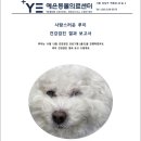 예은동물의료센터 이미지