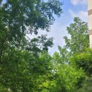 동백하나공인중개사사무소 이미지