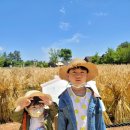 서하목장 이미지