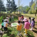 운흥초등학교 이미지