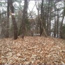 상장1리 이미지