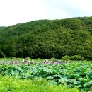 법기수원지 이미지