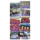 산내음농장 이미지