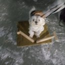 설매공원 이미지