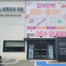 비비드성형외과의원 | 광주 비비드 성형외과 방문기 - 상안검수술(눈꺼풀 처짐 교정)