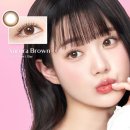 으뜸플러스안경 홍성내포점 이미지