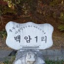 곡교천 은행나무길과 현충사 이미지