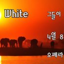 화이트 오페라 이미지