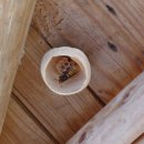 반석민박 이미지