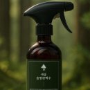 솔향이 진한 이미지