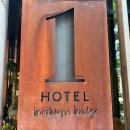 뉴욕호텔(주) | 뉴욕 브루클린 1호텔 브릿지 스카이라인 룸 뷰 후기