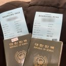 호약국 | [대마도 여행] 니나호 배 탑승 후기 (부산항 ↔ 히타카츠항)