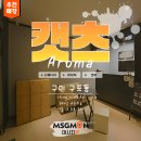 캣츠아로마