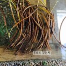 삼흥농장 이미지