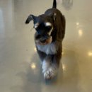 멍데이 살롱 이미지