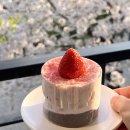 광교카페거리 | 광교카페거리 땃트커피 광교카페거리점 케이크 웨이팅 후기 추천