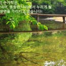 손가락세상 이미지